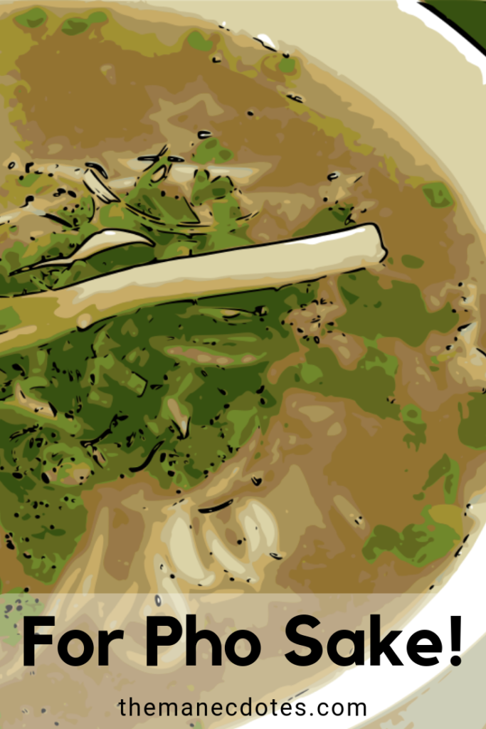 Bowl of pho with text overlay - For Pho Sake