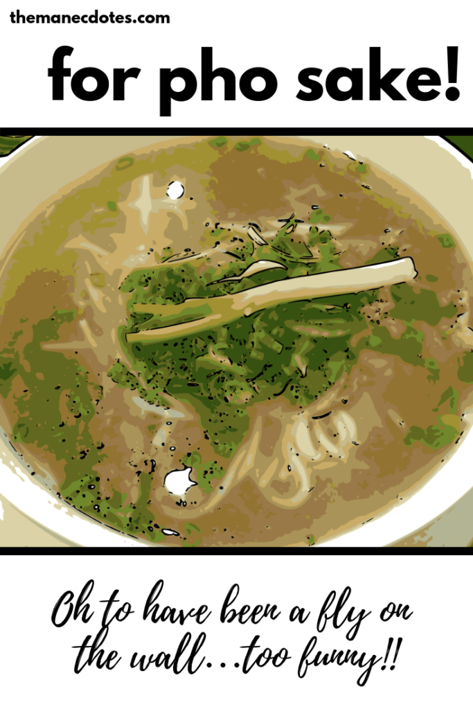 Bowl of pho with text overlay - For Pho Sake