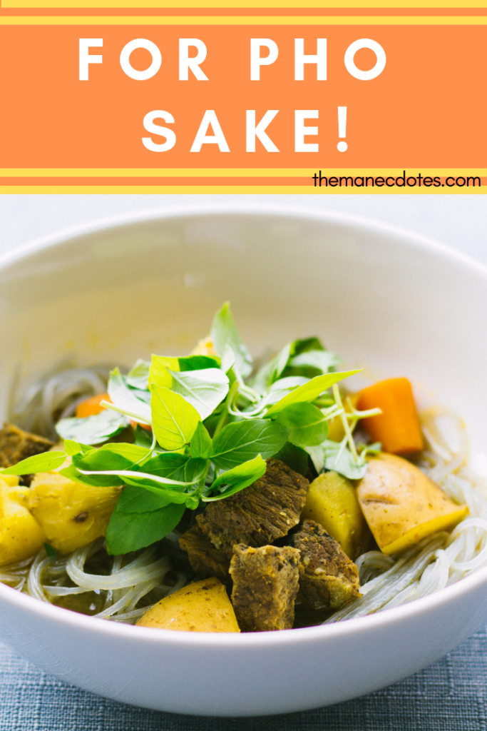 Bowl of pho with text overlay - For Pho Sake
