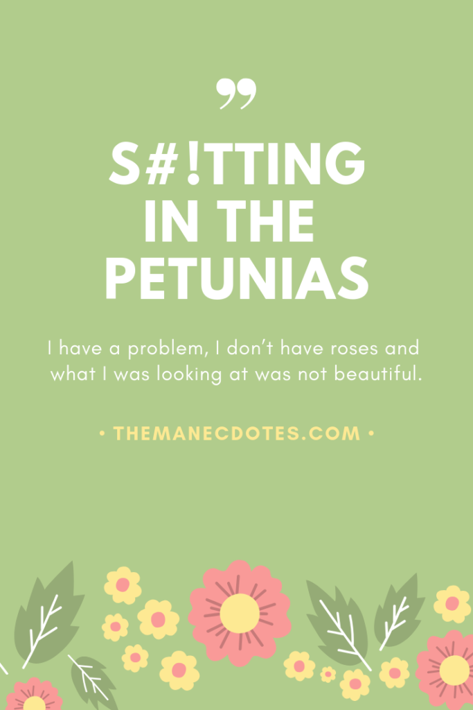 A green background with flowers and text overlay - shitting in the petunias