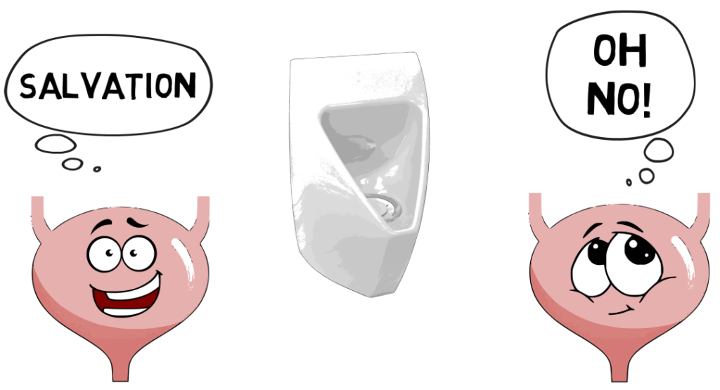 Urinal with 1 Happy Bladder and 1 Shy Bladder